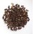 Urancia Natural Fresh Shivalingi Seed Shivilingi Beej Bryonia Laciniosa 100 Seeds For Germination