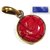 Urancia Red Coral Ganesh Moonga Ganapati Panchdhatu Alloy Pendant for Fengshui Vastu Home