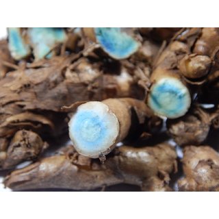 Urancia Very Dark Rare Kali haldi 7 Piece