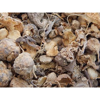 Urancia Banjh Karela Momordica Cymbalaria 100g