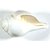 Urancia Shankha Blowing Conch Gem Quality High Polish Lenth 4to 5 Thickness 2 to 3 For Pooja
