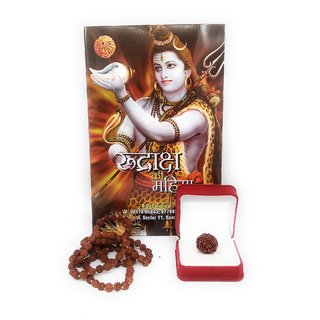 Rudraksha Ki Mahima Spiritual Book with 5 Mukhi Rudraksha and Rudraksha Mala ( Pack of 3 )