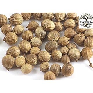 Kapebonavista Dhania Seed Coriander Seed Coriandrum Sativum Micro Greens Seeds 100 Pcs