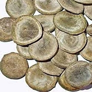 Kapebonavista Kuchla Seeds Nux Vomica Seed Strychnos Nuxvomica 150gm