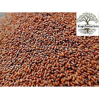 Kapebonavista Halim Seed 100gm