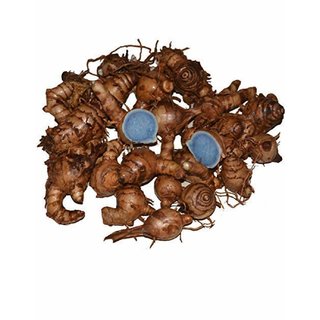 Tantra Siddha Very Rare Fresh Kali Haldi Black Turmeric Curcuma Caesia Orginal 1kg