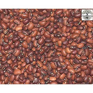 Kapebonavista Kanchan Beej Kanchan Seed champak Michelia Champaca 100g