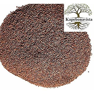 Kapebonavista Lajwanti Seed Chui MUI Humble Plant Seed Mimosa Pudica 100g