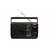 Santosh Five Band Portable FM Radio- 2 Batteries Required (Models May Vary)