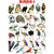 Birds Chart for Kids Wall Sticker Learn about Types of Birds and their Names at Home or School Wall Sticker