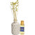redolance scented reed diffuser jasmine oil 50ml ceremic pot white colour LBH (INC) 2.8X2.8X5 for home, office and spa D