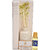redolance scented reed diffuser jasmine oil 50ml ceremic pot white colour LBH (INC) 2.8X2.8X5 for home, office and spa D