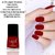 Fabia Matte Nail Polish Pack of 12 Multicolor 6 ml Wedding Collection 01