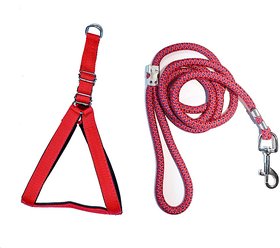 Tame Love Padded Harness and Leash for Puppy of All Breeds (Red Color - 0.75 inches)