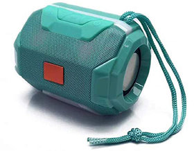 Buylink BoomBox Bluetooth Speaker Most-Powerful with Battery Built-in bluetooth Multimedia 4.2 BT (Coi-501) Sky