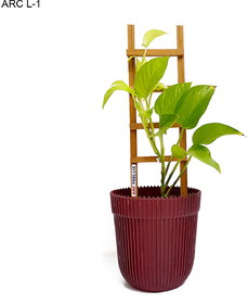 WOODEN SUPPORTING STAND FOR PLANTS SET OF 3