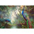 Beautiful Peacock on Tree Posters print on Photographic paper, Combo (pack of 2 , size 13 BY 19 inch )