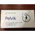 Pelvexiser Standard Exerciser (Pelvik)  Pelvic Floor Muscle Exerciser
