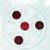 Daenyx Semi-Automatic Top Loaded Beauty 6.2 Kg- DSAWM6217SIBWO
