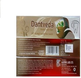 Dantveda Herbal Tooth Paste Pack-4