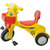 Kids toys valley Happy birthday tricycle.