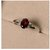 10.5 Carat Certified Hessonite silver Ring for Men & WomenBy CEYLONMINE