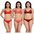 Stylish Bra and Panty Set for Women  Girls Combo Pack of 3