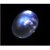 100 Original Certified Stone 5.25 Carat Blue Moonstone By Ceylonmine