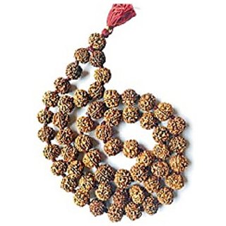 Rudraksha mala for Men  Women by Ceylonmine