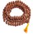 Ceylonmine - Lab Certified 5 Mukhi Rudraksha Mala for Men/Women