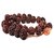Rudraksha  Mala nepali Rudrakash Mala by Ceylonmine