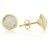 Moonstone Gold Plated Earring by Ceylonmine