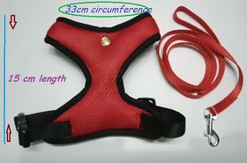 Cat Vest Body Padded Harness Size Medium (Neck Size 33 cm Circumference) with Nylon Lease  Please Check Size Before Buy