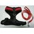 Cat Vest Body Padded Harness Size Medium (Neck Size 33 cm Circumference) with Nylon Lease  Please Check Size Before Buy
