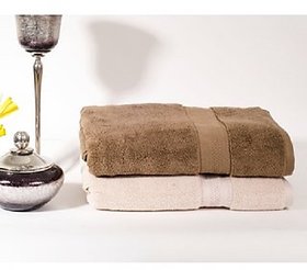 Dry Bath Towel - Set Of 2