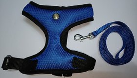 Cat Vest Body Harness Blue with Nylon Lease Size M(Medium) Neck Size 32 cm circumferences - Pls Check Size Before Buy