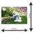 Voorkoms Beautiful Dog Animal Wall Laminated Posters for Home Living Kids Study Room Studio Decor Stylish PV-83