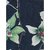 Get Wrapped Multi Polyester Printed Scarf with Solid Border