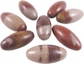 Urancia High Quality Living Tested Narmada Linga Bana Linga 3.5inch 1 Piece for Pooja