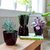 Style UR Home - Modern Decorative Plastic Flower Pots- Indoor- Outdoor - Set of 4