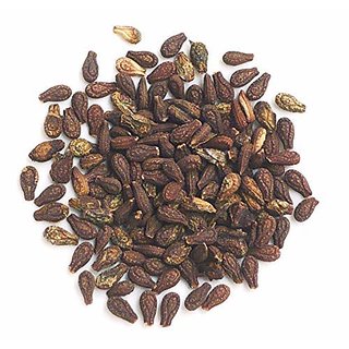 Kapebonavista Shivlingi Seed Sivlingi Beej Bryonia Laciniosa 200 g