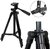 3120 Tripod Stand for Camera Smartphone For YouTube Video Shooting