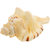 KESAR ZEMS Ganesh Shankh ( Conch )