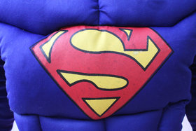 Kaku Fancy Dresses Superhero Costumes for Kids  Super Hero Fancy Dress for Kids - 3-4 Years, Multi, for Boys