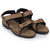 Sparx Men's Camel/Black Sports Sandals & Floaters