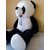 Pawani teddy bear panda 5 feet DADDY KA TEDDY