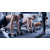 Scorpion Fitness Hex Dumbbell 10 kg (Pack of 1 pcs) Rubber Coated Rubber Hex Dumbbell Hexagonal Dumbbells for Profes