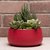 Elemntl Metal Planter Pot for Indoor Plants (Matte Red, Set of 2) 5.5 x 3 in Planter For Living Room Decor