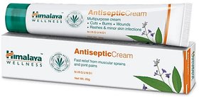 Himalaya Antiseptic Cream (20g) - Pack Of 2