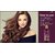 Park Daniel Premium Pure and Natural Onion Blackseed Shampoo & Himalaya Rose Shampoo Combo Pack Of 2 bottle of 100 ml(200 ml)